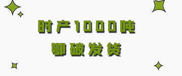 設備發貨|時產1000噸鄂破發貨